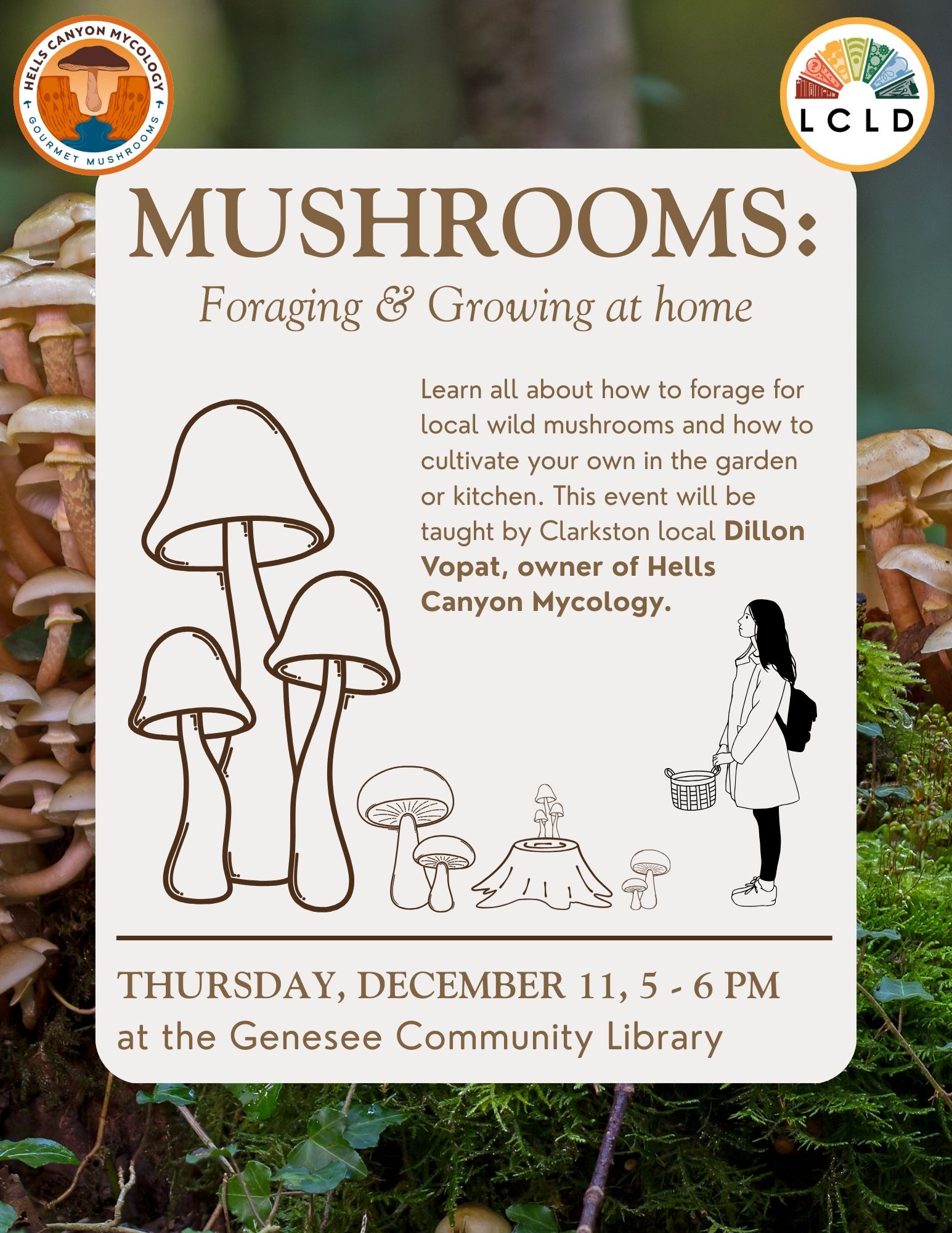 Genesee Mushrooms Foraging and Growing on Thursday, December 11, from five to six PM at the Genesee Community Library