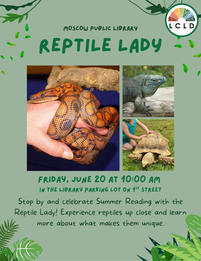 Reptile Lady Flyer