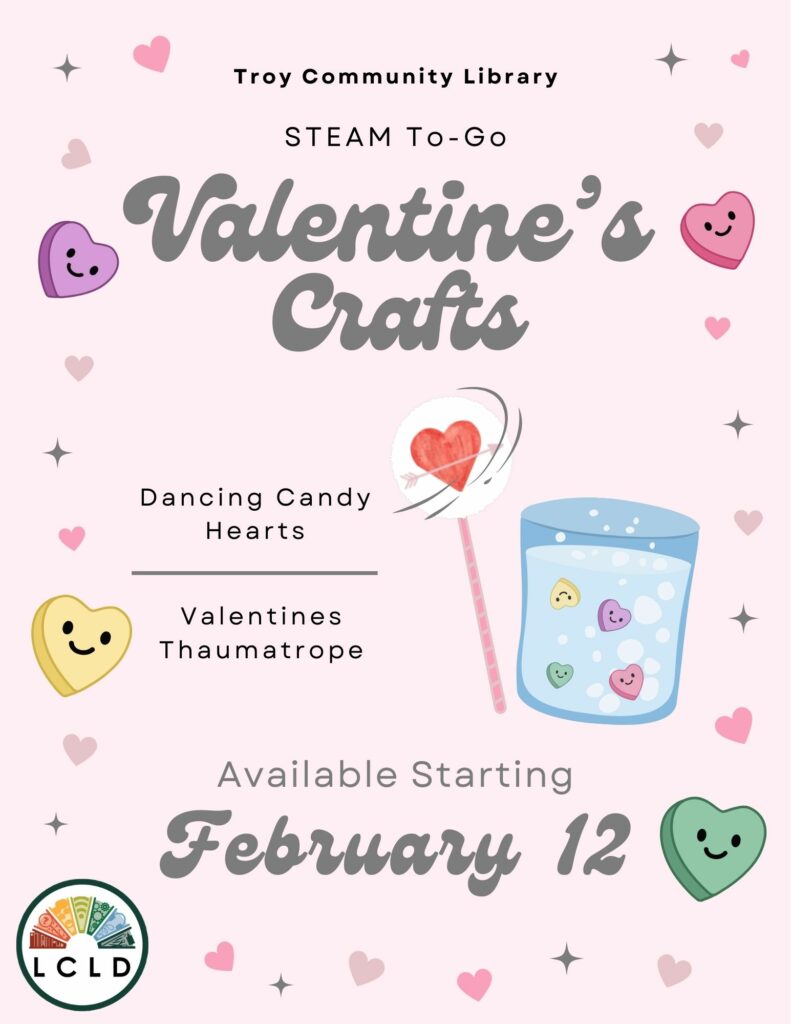 Troy STEAM To Go Flyer