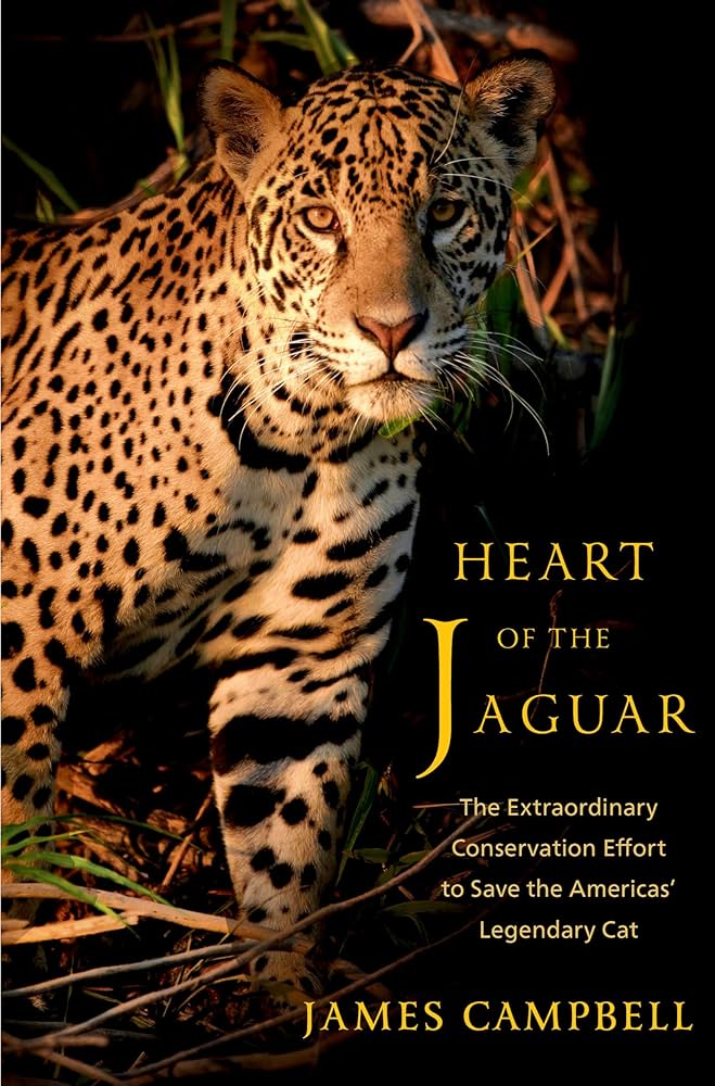 Heart of the Jaguar Book Cover