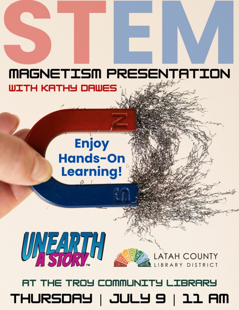 STEM Magnetism Presentation Flyer