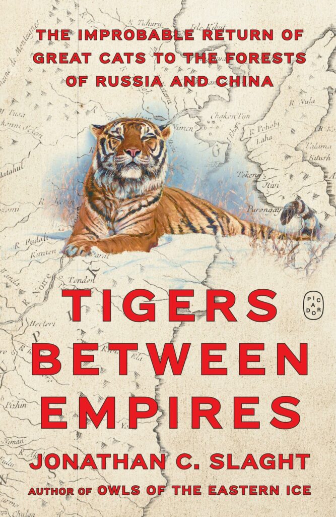 Tigers Between Empires