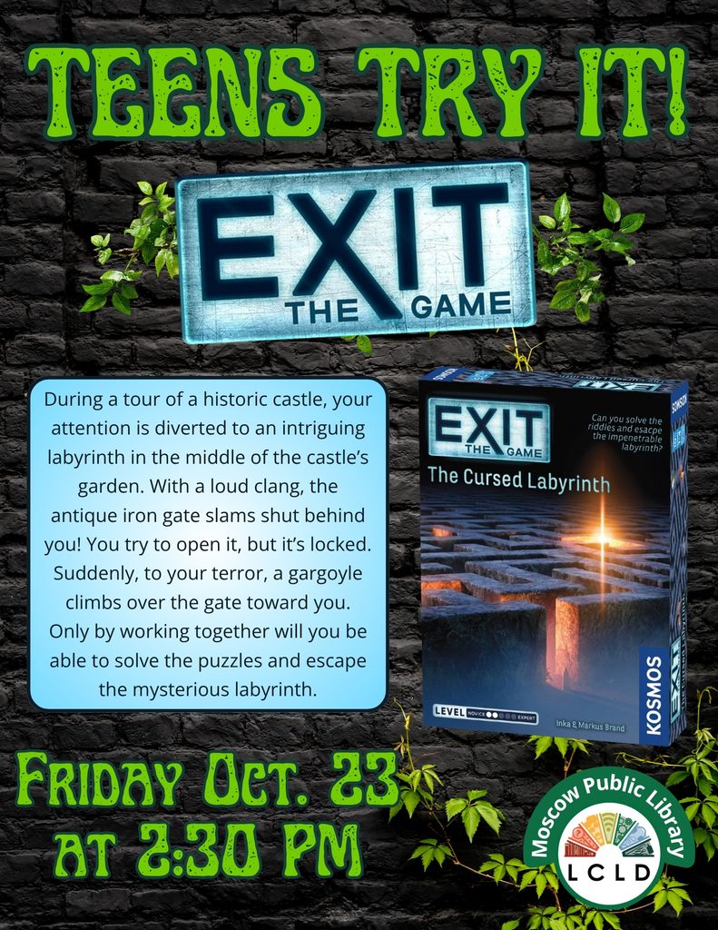 Teens Try It Exit the Game Flyer